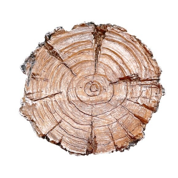 Realistic Owl in a Tree LED Nightlight Cold Cast Resin Art - Picture 2 of 4